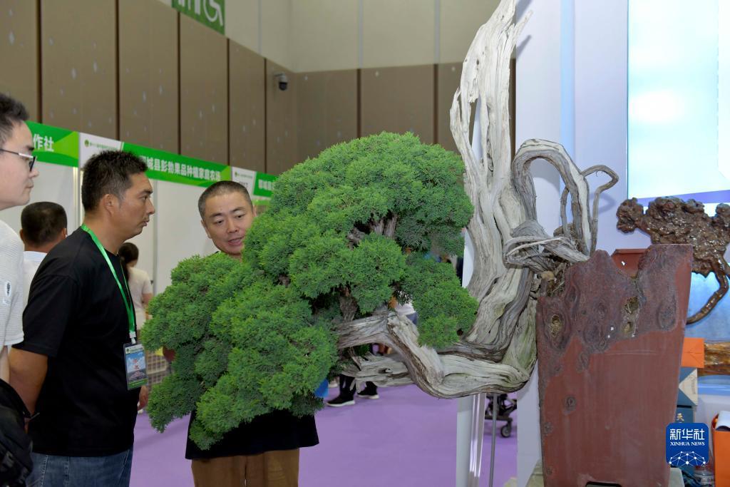 98游戏官网